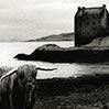 Geraint Edwards Photography, Eilean Donan, Scotland